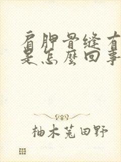 肩胛骨缝有疙瘩是怎么回事