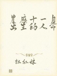 农历十一月初十出生的人命运