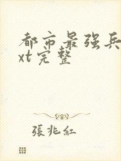都市最强兵王txt完整