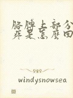 胳膊上部分肌肉疼是怎么回事