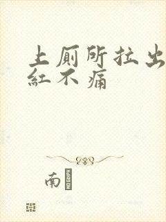 上厕所拉出血鲜红不痛