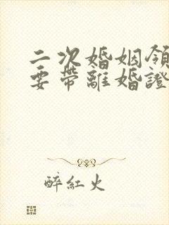 二次婚姻领证需要带离婚证吗封面