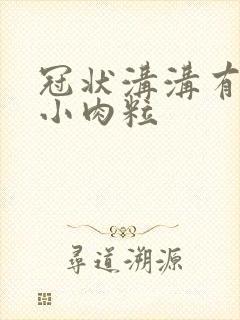 冠状沟沟有一排小肉粒封面