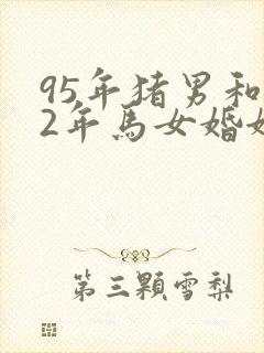 95年猪男和02年马女婚姻相配吗