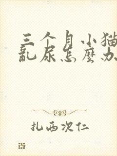 三个月小猫到处乱尿怎么办封面