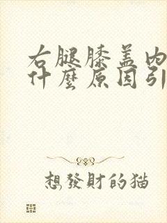 右腿膝盖内侧痛什么原因引起的封面