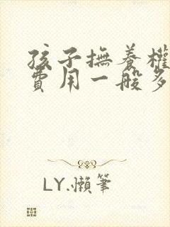 孩子抚养权律师费用一般多少封面