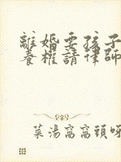 离婚要孩子的抚养权请律师的多少钱