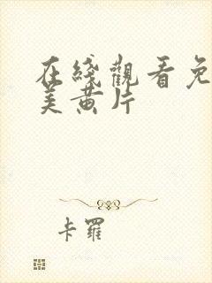 在线观看免费欧美黄片