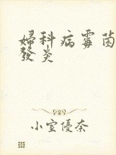 妇科病霉菌阴道发炎