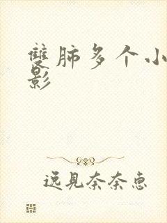 双肺多个小结节影