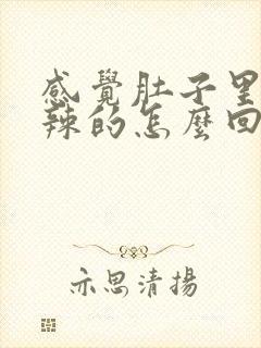 感觉肚子里火辣辣的怎么回事