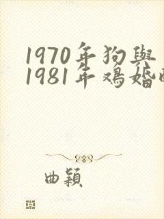 1970年狗与1981年鸡婚配封面