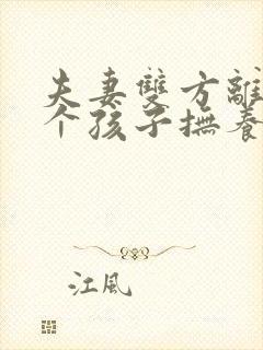 夫妻双方离婚两个孩子抚养权会怎么判决