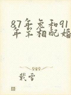 87年兔和91年羊相配婚姻如何封面