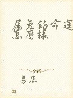 属兔的命运一生怎么样