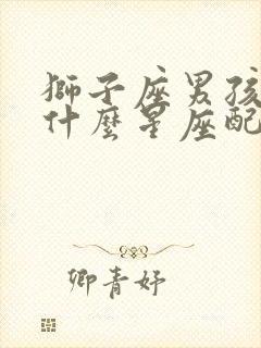 狮子座男孩子和什么星座配封面