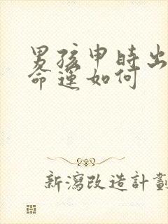 男孩申时出生的命运如何封面