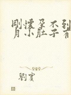 刚怀孕不到一个月小肚子有点疼是怎么回事封面