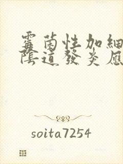 霉菌性加细菌性阴道发炎应该怎么治