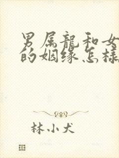 男属龙和女属牛的姻缘怎样