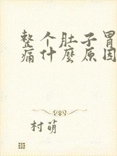 整个肚子胃部胀痛什么原因