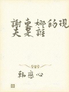 谢东娜的现任丈夫是谁封面