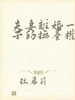 夫妻离婚一个孩子的抚养权归谁封面