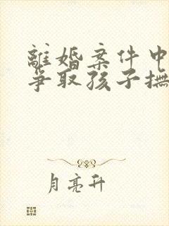 离婚案件中如何争取孩子抚养权封面