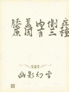 膝盖内侧疼痛的原因有三种图