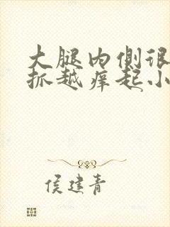 大腿内侧很痒越抓越痒起小疙瘩