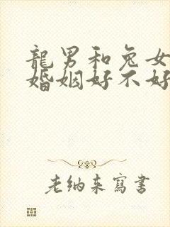 龙男和兔女相配婚姻好不好封面