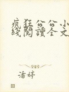 疯狂公公小说在线阅读全文免费