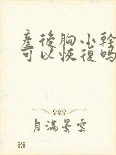 产后胸小干瘪还可以恢复吗