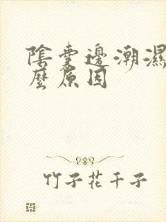 阴囊边潮湿是什么原因封面