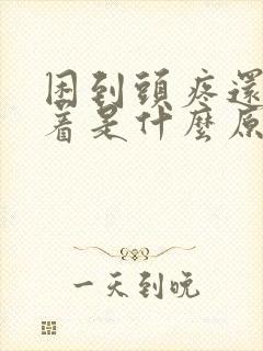 困到头疼还睡不着是什么原因?