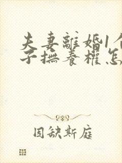 夫妻离婚1个孩子抚养权怎么判定