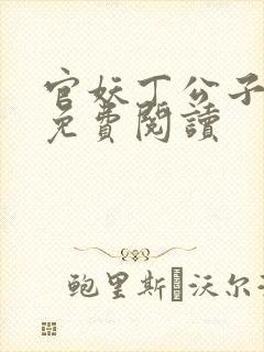 官妖丁公子全文免费阅读