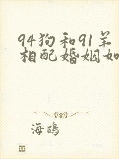 94狗和91羊相配婚姻如何封面