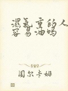 湿气重的人头发容易油吗封面