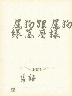 属狗跟属狗的姻缘怎么样封面