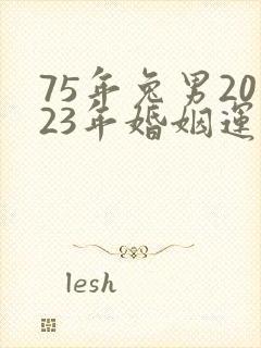 75年兔男2023年婚姻运势