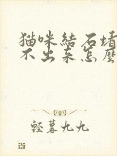 猫咪结石堵塞尿不出来怎么办