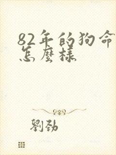 82年的狗命运怎么样