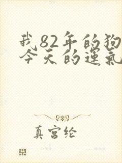 我82年的狗,今天的运气怎么样封面