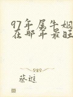 97年属牛姻缘在哪年最旺盛