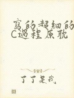 写的超细的多肉C过程原耽