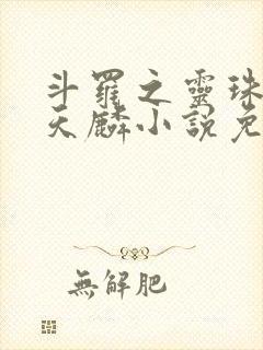 斗罗之灵珠神剑天麟小说免费阅读无弹窗