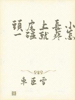 头皮上长小疙瘩一碰就疼怎么回事