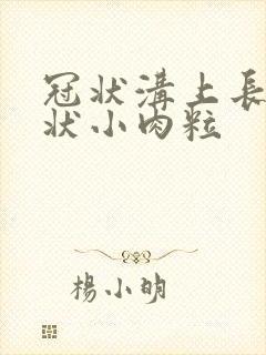 冠状沟上长菜花状小肉粒